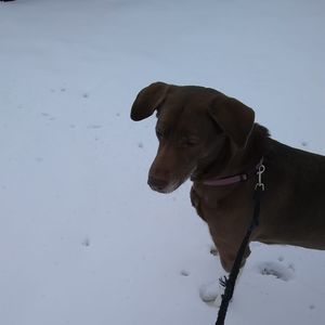 Meet your Posher, Gene